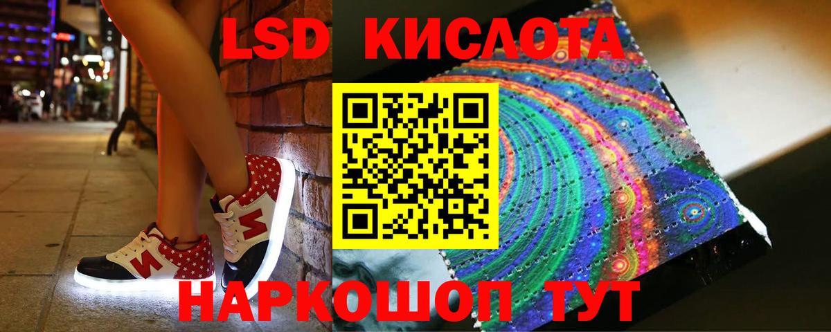 A PVP Заинск