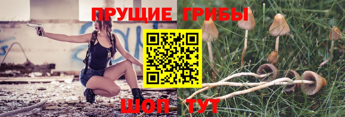 Псилоцибиновые грибы Magic Shrooms  Вход с VPN  Заинск 